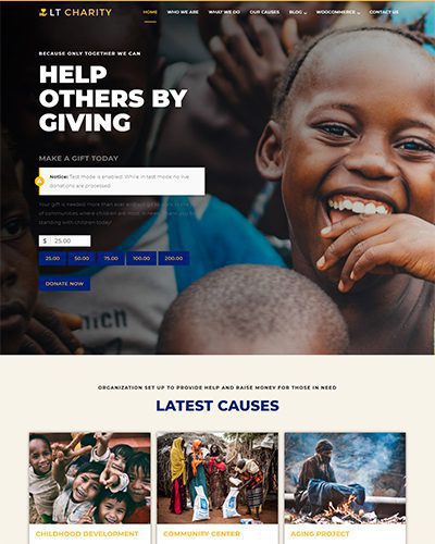 Lt Charity Onepage – Free Responsive Non-Profit / Charity Onepage Wordpress Theme