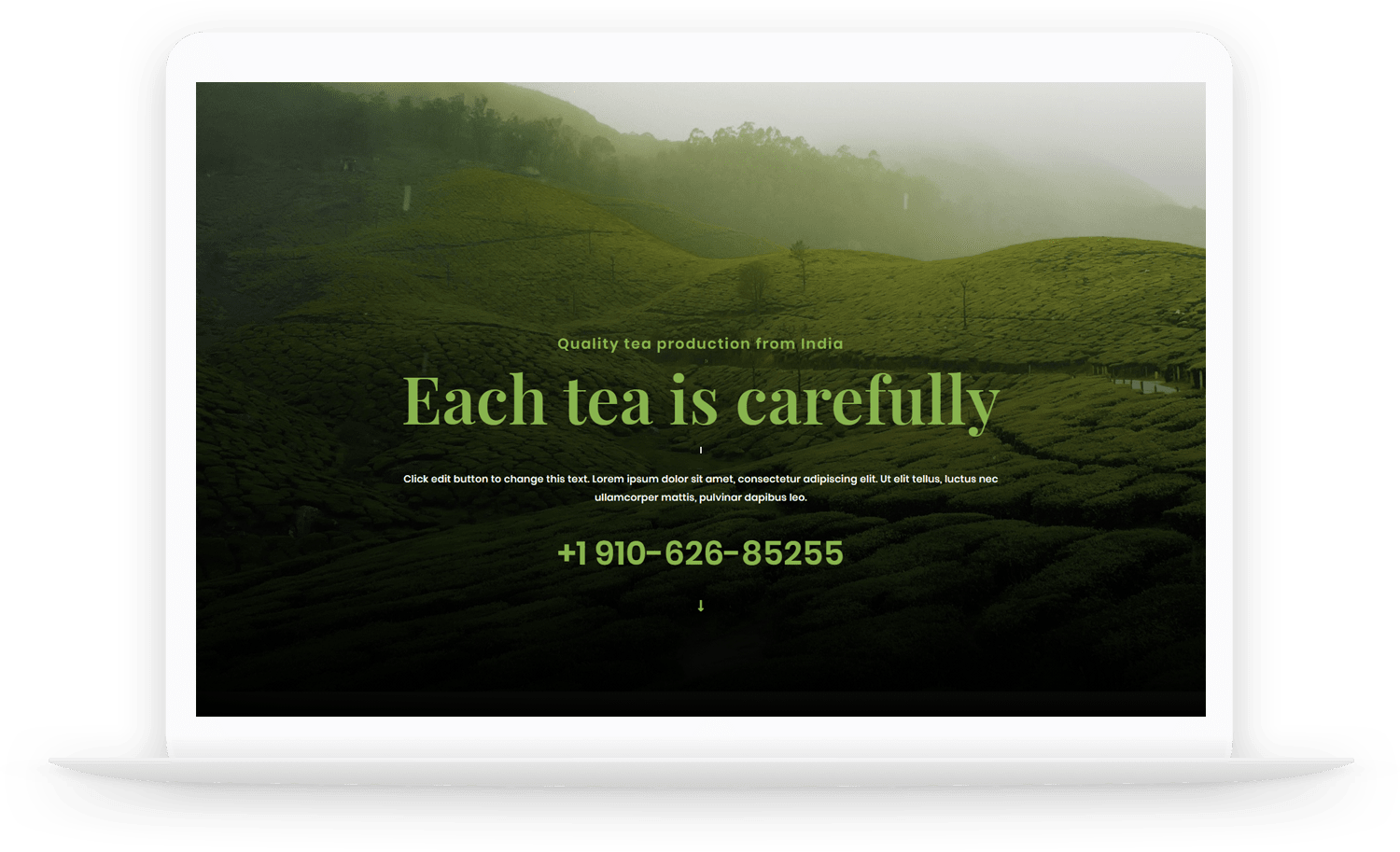Lt-Tea-Wordpress-Theme